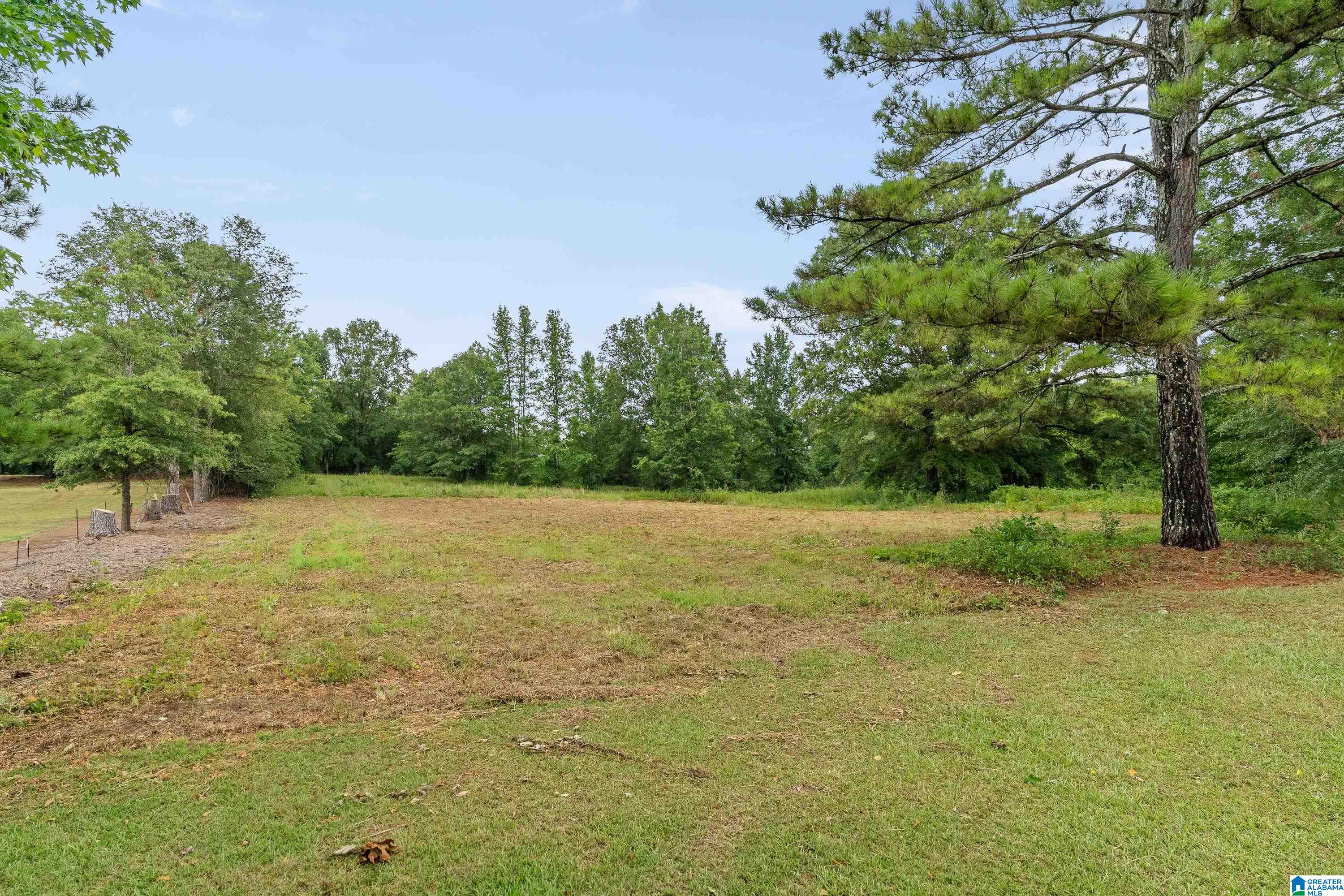 350 Plum Springs Road Lincoln, AL 35096 - Photo 58 of 62