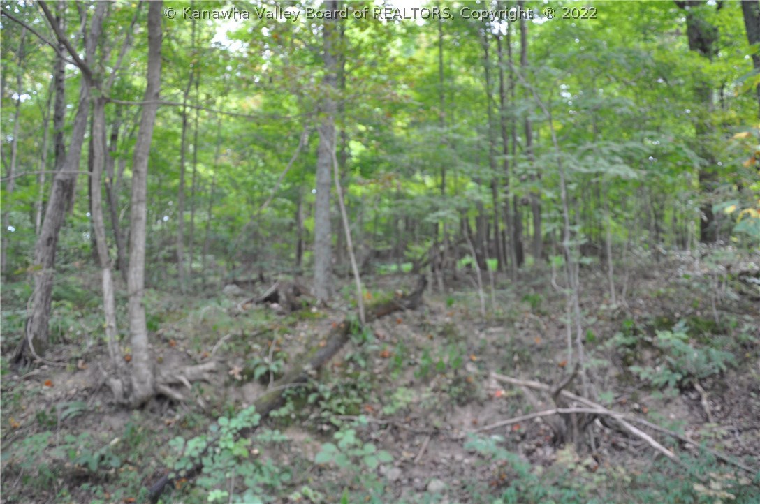 0 Fuquays Creek Road Sod, WV 25564 - Photo 14 of 21 Gallery Image 14