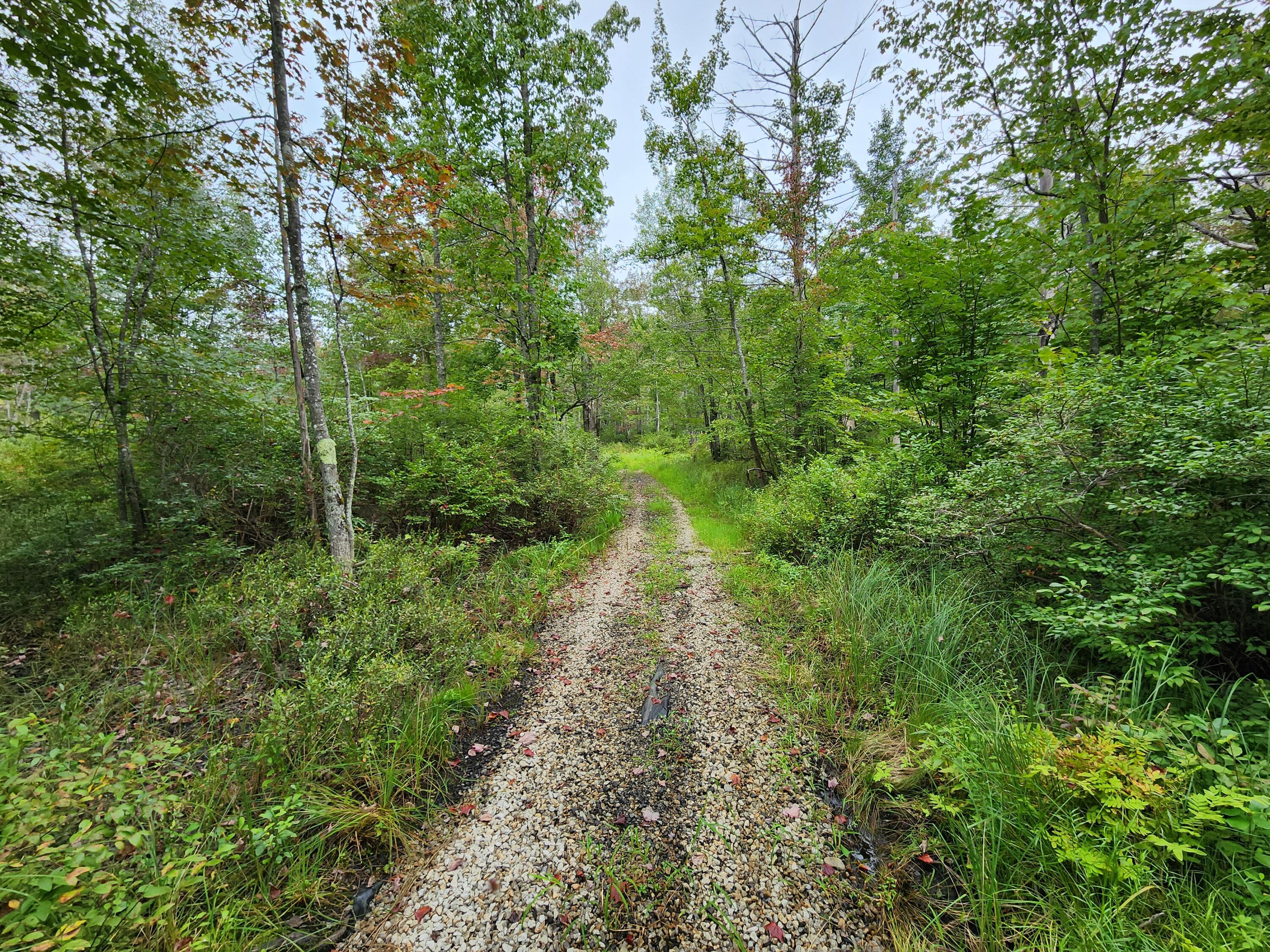 233 Chesterville Ridge Road Fayette, ME 04349 - Photo 10 of 11 20230829_094030