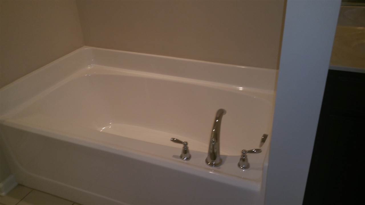 1237 Silver Beach Way Raleigh, NC 27606 - Photo 14 of 20 Master Bath/Spa