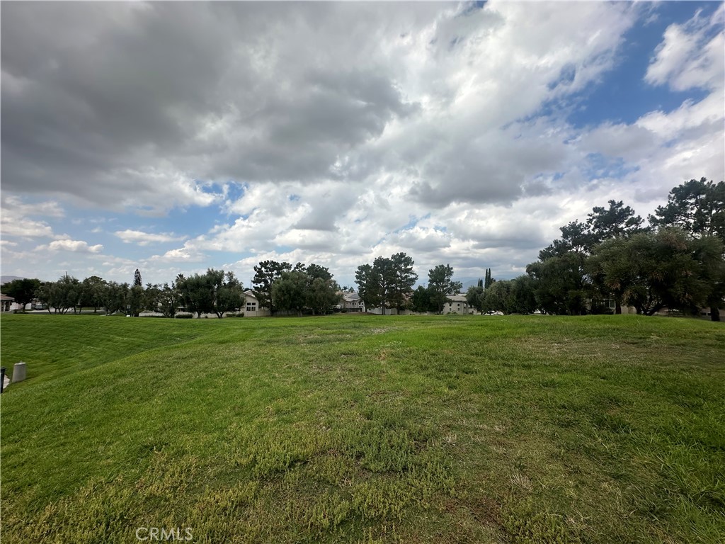 10245 Shale Lane Mentone, CA 92359 - Photo 18 of 18 Green Open Space