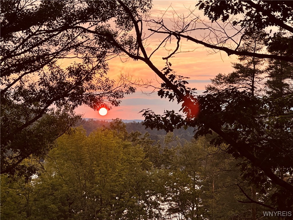 8593 Noontide Road Caneadea, NY 14717 - Photo 35 of 48