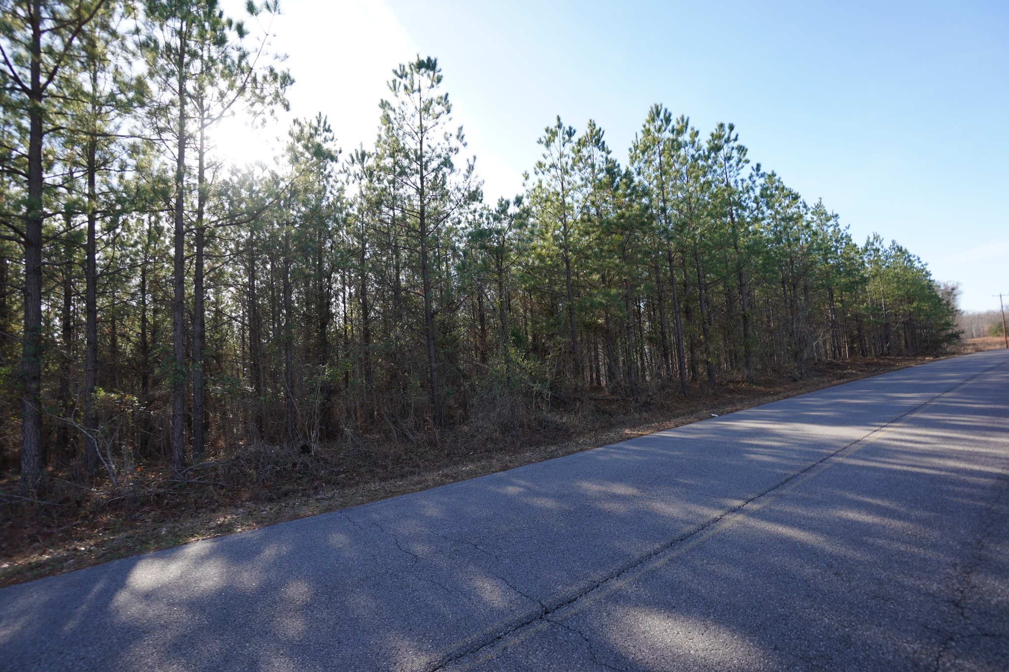1 Onion Hill Road Dover, TN 37058 - Photo 11 of 21 Gallery Image 11