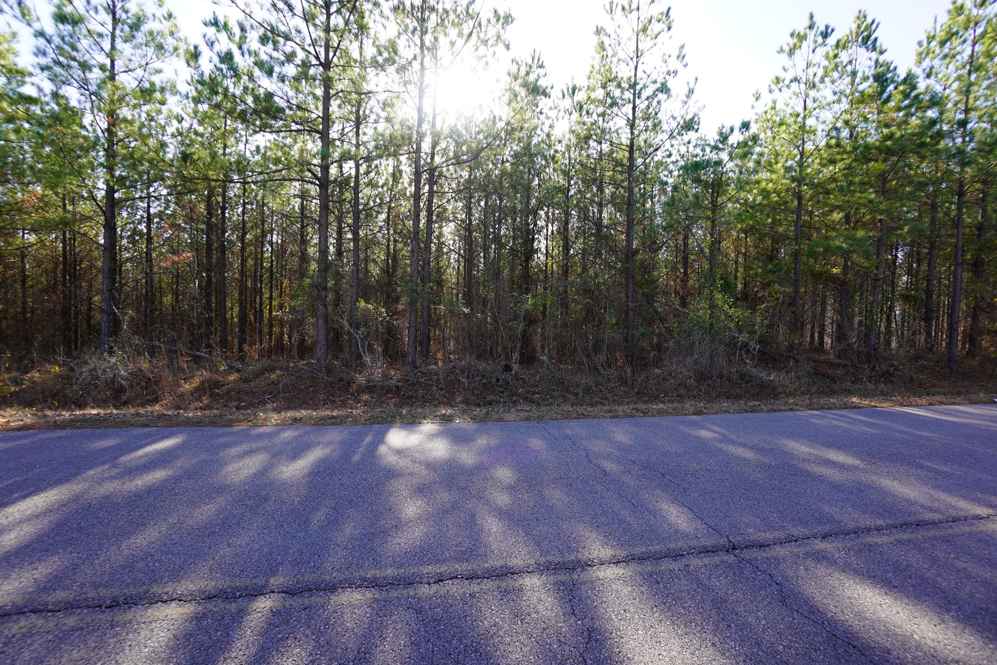 1 Onion Hill Road Dover, TN 37058 - Photo 12 of 21 Gallery Image 12
