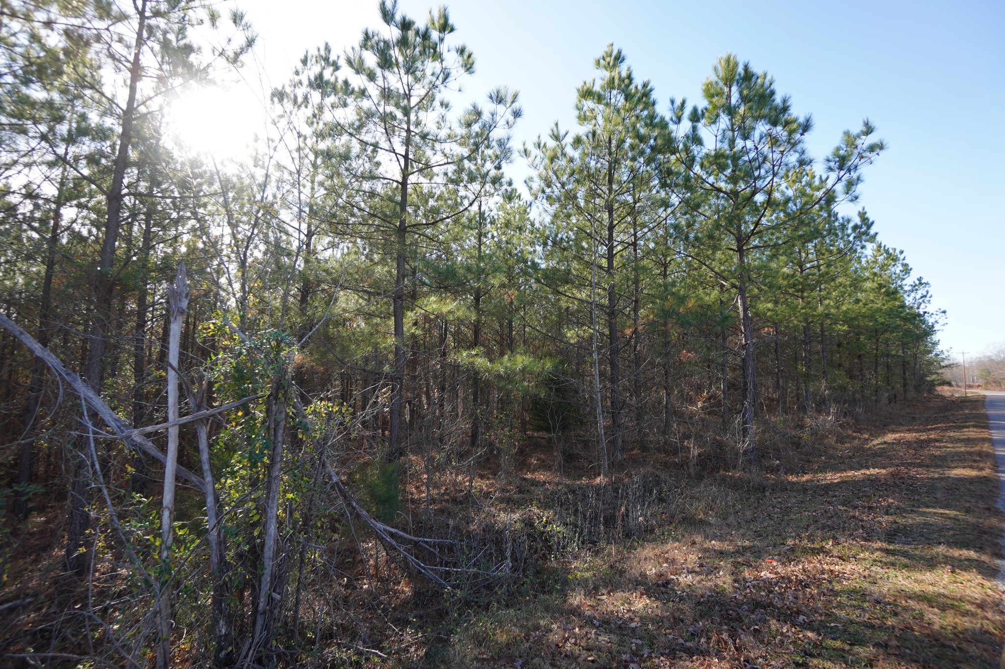1 Onion Hill Road Dover, TN 37058 - Photo 13 of 21 Gallery Image 13