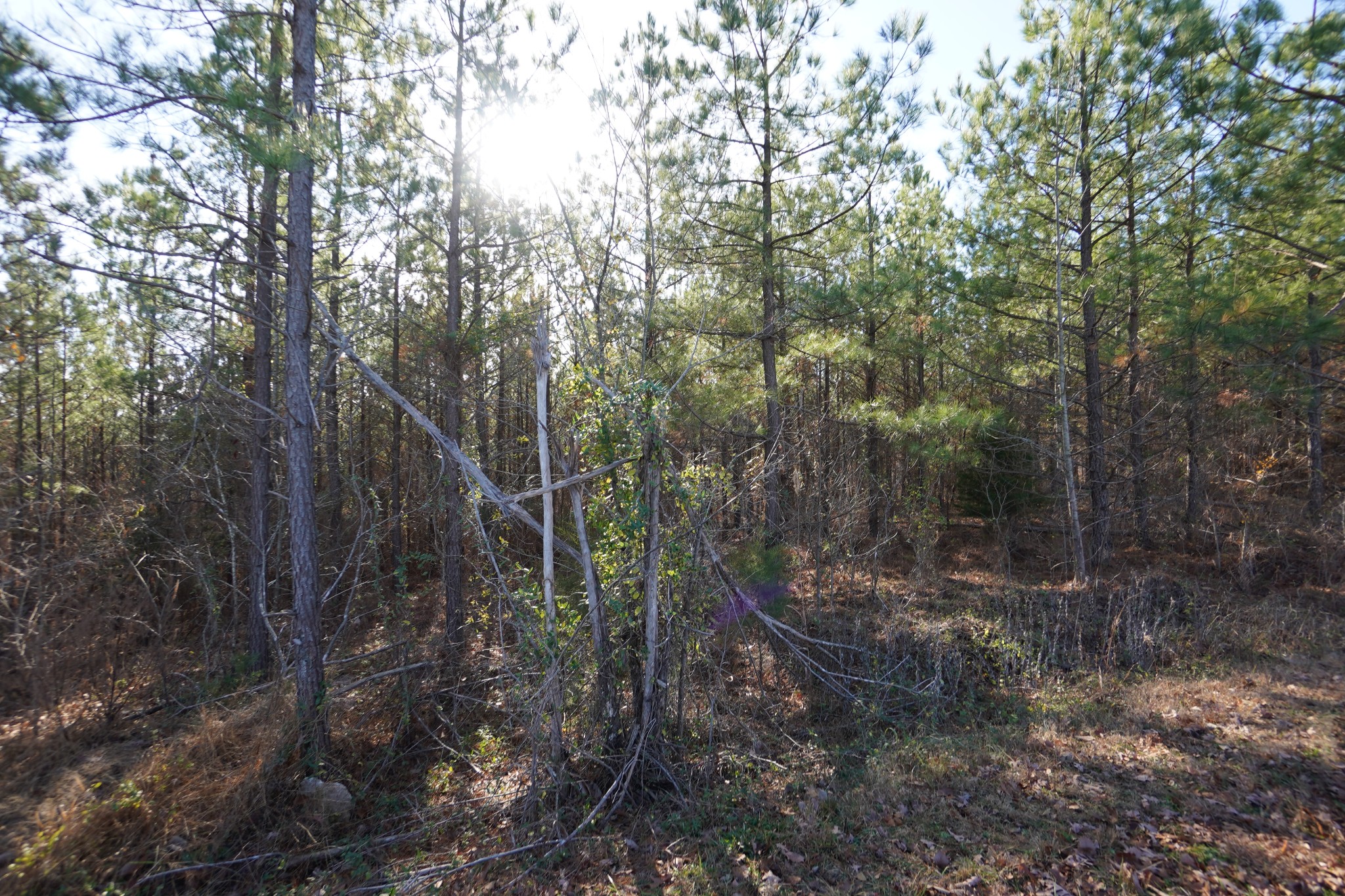 1 Onion Hill Road Dover, TN 37058 - Photo 14 of 21 Gallery Image 14