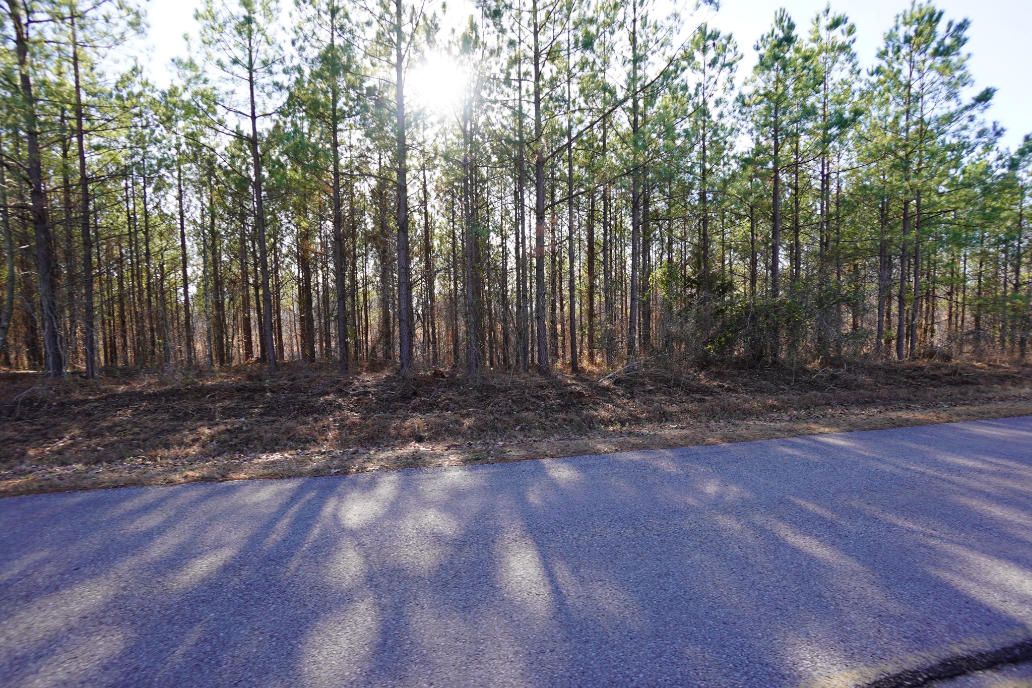 1 Onion Hill Road Dover, TN 37058 - Photo 8 of 21 Gallery Image 8