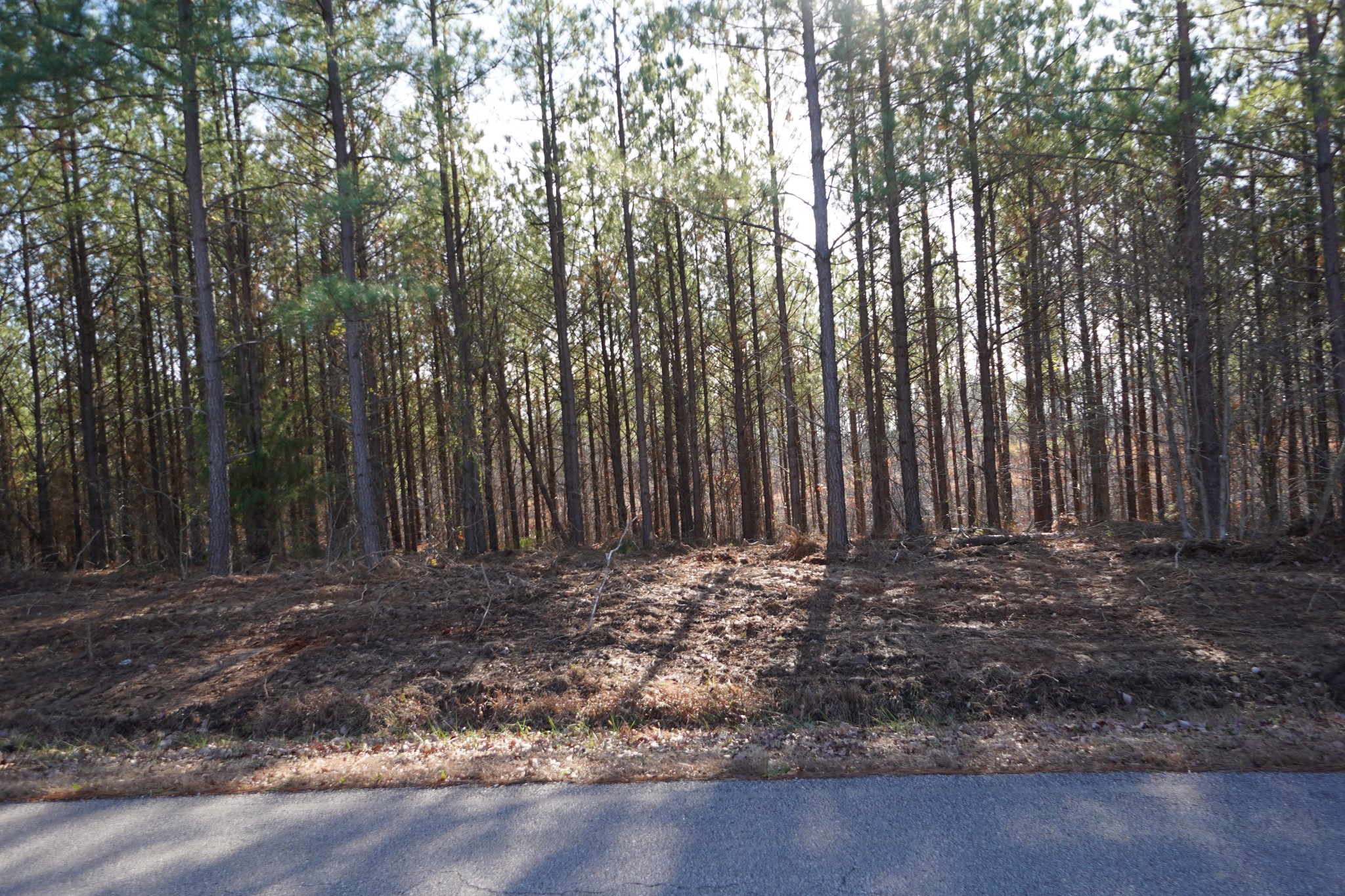 1 Onion Hill Road Dover, TN 37058 - Photo 9 of 21 Gallery Image 9