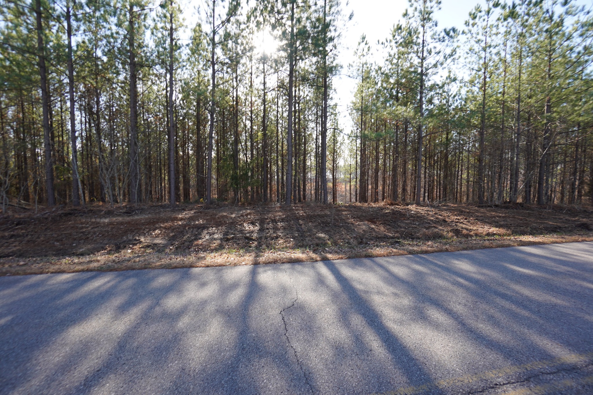 1 Onion Hill Road Dover, TN 37058 - Photo 10 of 21 Gallery Image 10