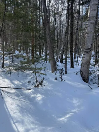 $115,000 | Tbd Great Moose Drive, Hartland, ME 04943