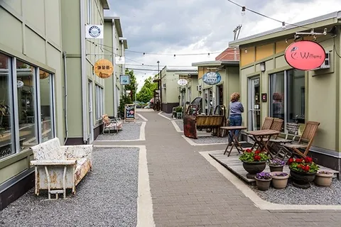 a view of a lake with a large trees