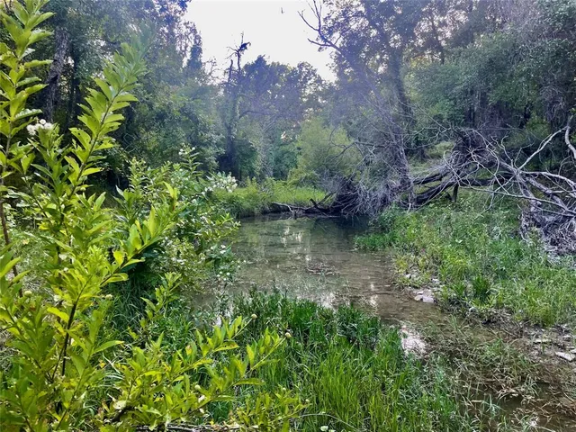a view of a garden with a house