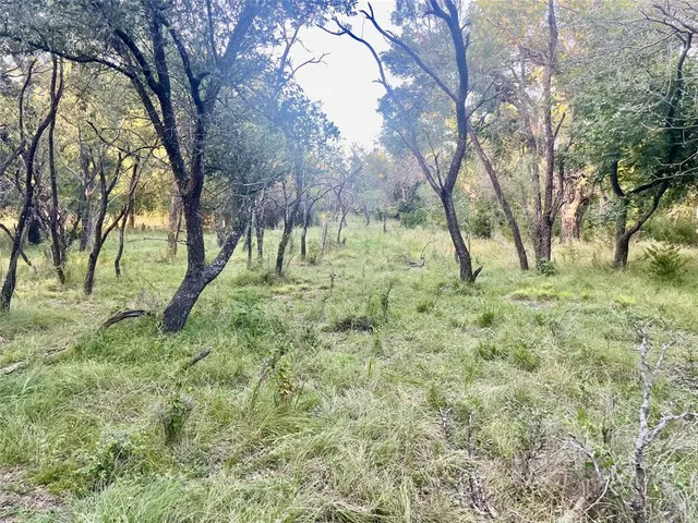 a view of outdoor space with trees all around