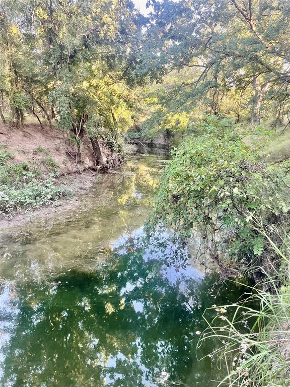 244 Comanche Tx 76442 Comanche, TX 76442 - Photo 13 of 18 a view of a yard with a tree