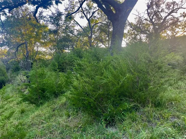 a view of yard with green space