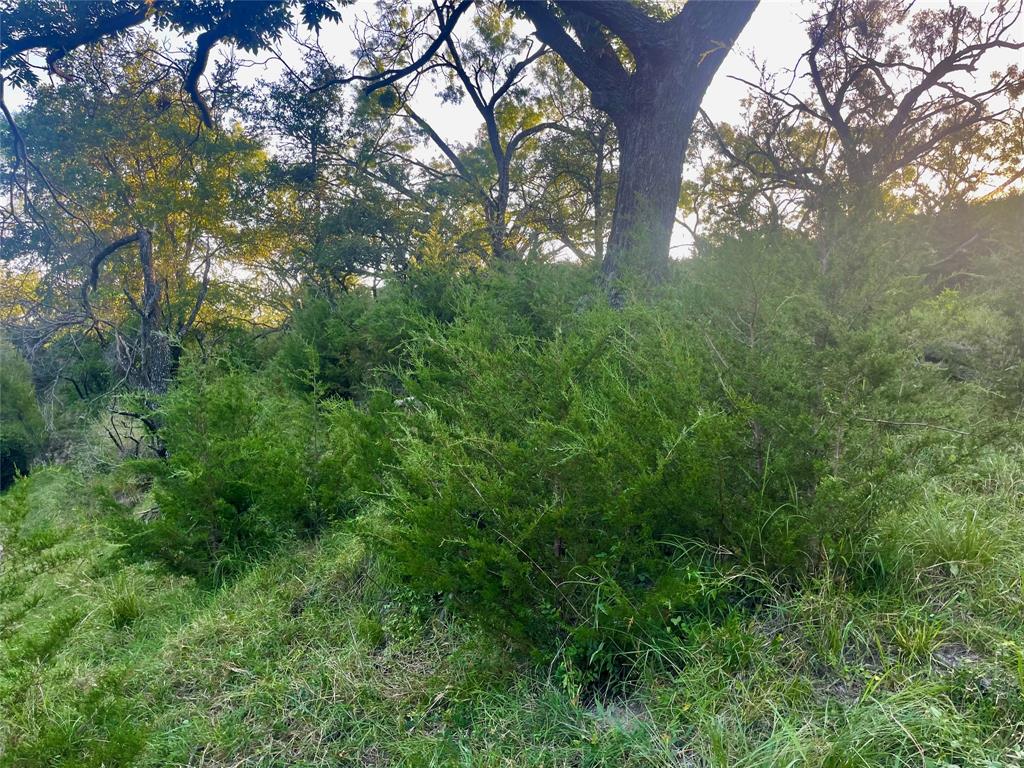 244 Comanche Tx 76442 Comanche, TX 76442 - Photo 14 of 18 a view of yard with green space