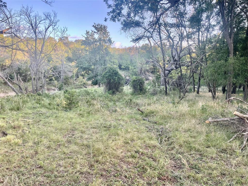 244 Comanche Tx 76442 Comanche, TX 76442 - Photo 17 of 18 a view of a forest with trees in the background