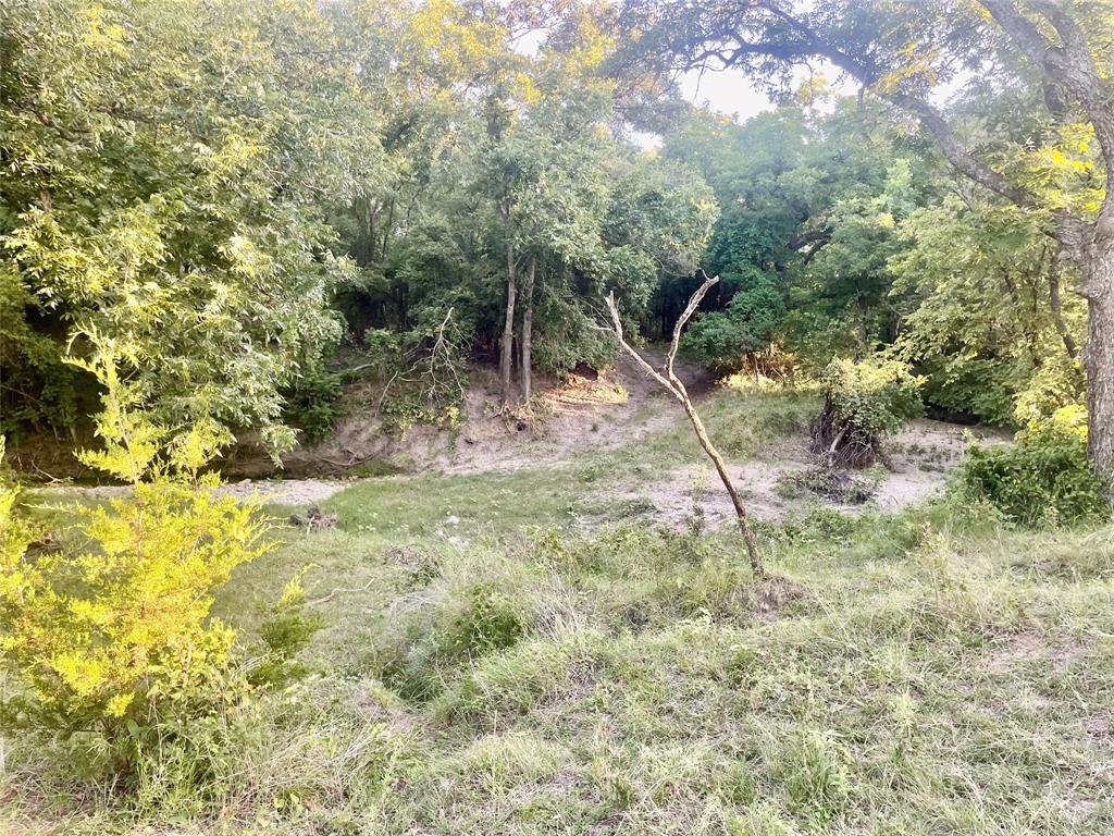 244 Comanche Tx 76442 Comanche, TX 76442 - Photo 18 of 18 a backyard of a house with lots of green space