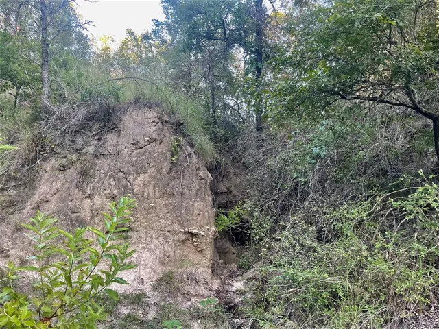 a view of a yard with lots of bushes