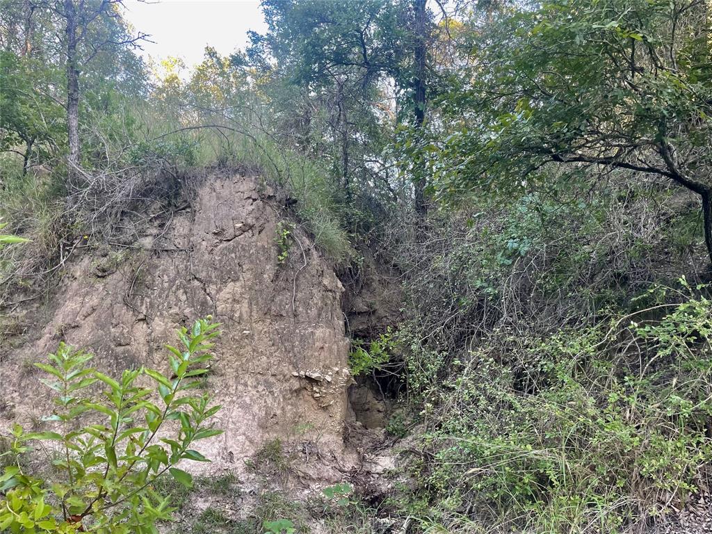 244 Comanche Tx 76442 Comanche, TX 76442 - Photo 3 of 18 a view of a yard with lots of bushes