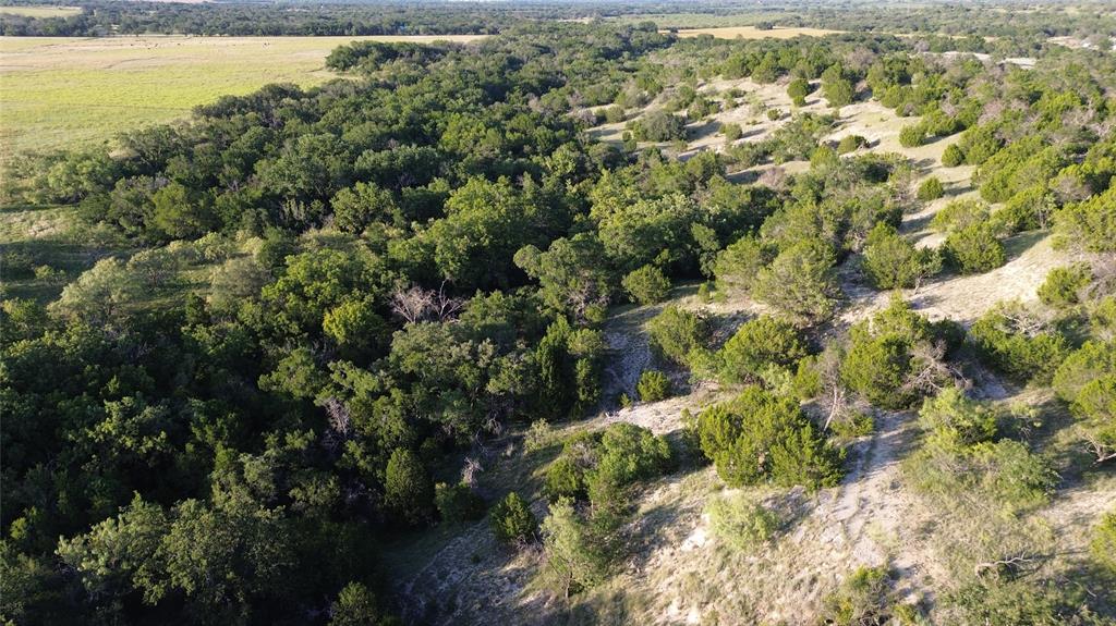 244 Comanche Tx 76442 Comanche, TX 76442 - Photo 5 of 18 a view of a yard with plants
