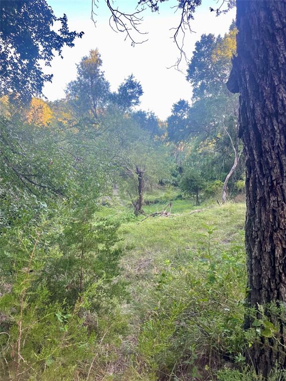 244 Comanche Tx 76442 Comanche, TX 76442 - Photo 7 of 18 a big yard with lots of green space and plants