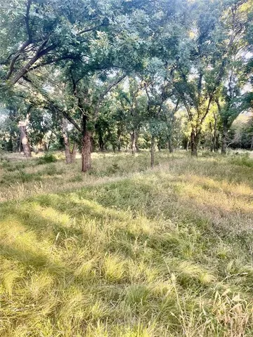 a view of yard with trees