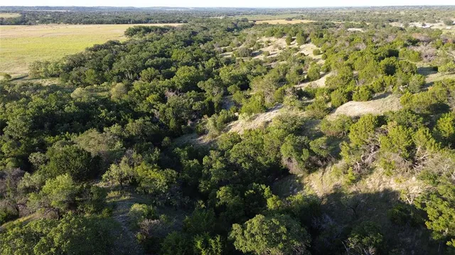 an aerial view of residential houses with outdoor space and trees