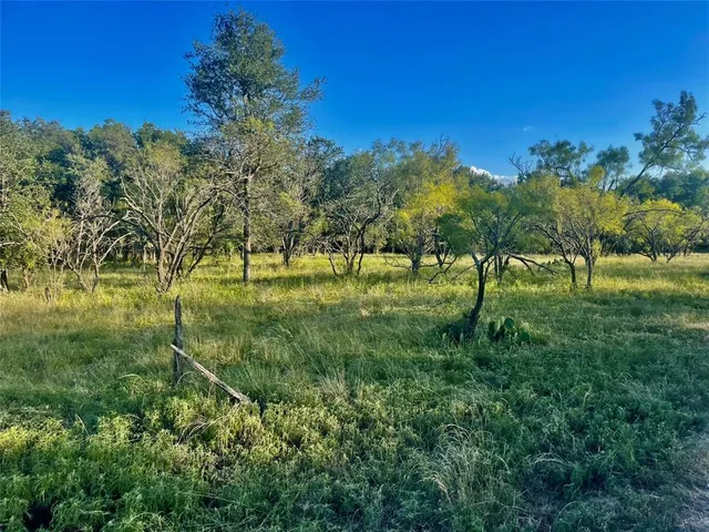 a view of a park with large trees