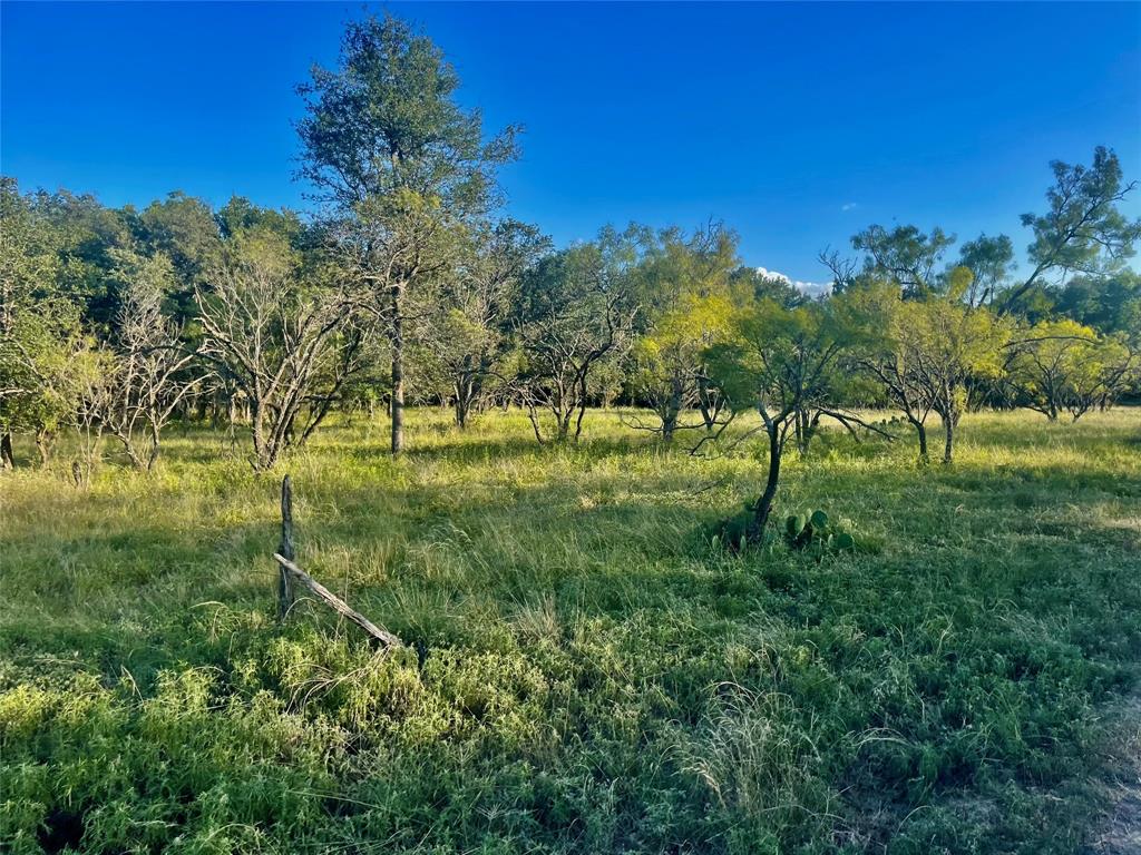 244 Comanche Tx 76442 Comanche, TX 76442 - Photo 10 of 18 a view of a park with large trees