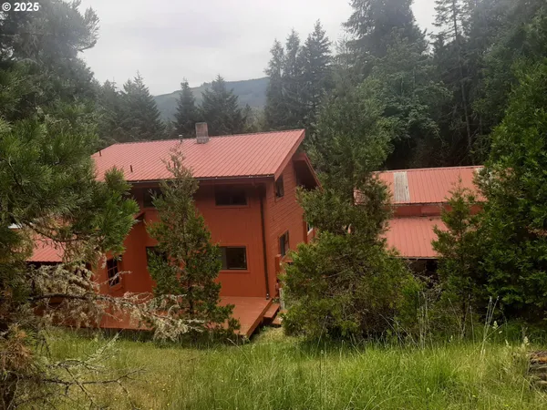 a view of a house with a yard and a large tree