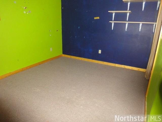 N8828 410th Street Spring Valley, WI 54767 - Photo 9 of 10