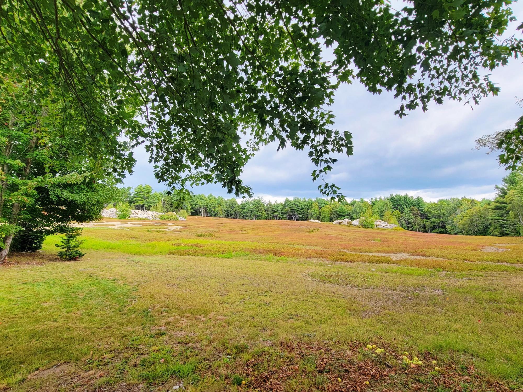 441 Eastbrook Road Eastbrook, ME 04634 - Photo 43 of 45 441 Eastbrook Rd.