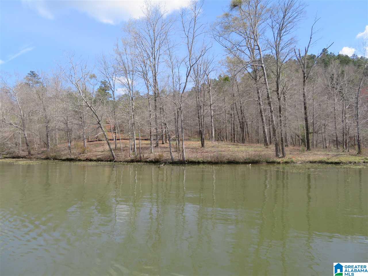Lot 14 Eagle Point Trace, Unit 14 Alexander City, AL 35010 - Photo 5 of 13