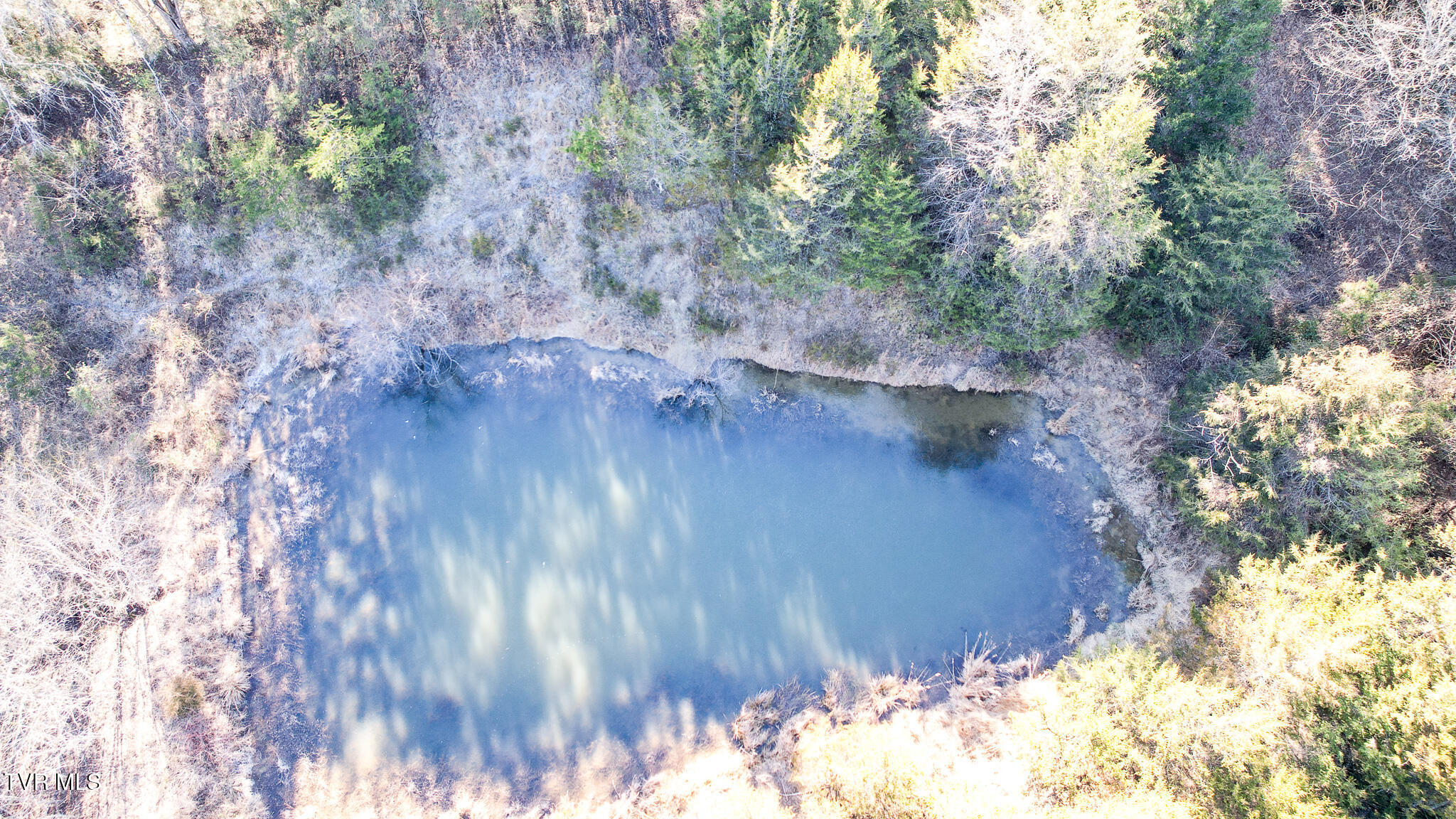 820 Doak Hensley Road Afton, TN 37616 - Photo 11 of 44 DJI_0062