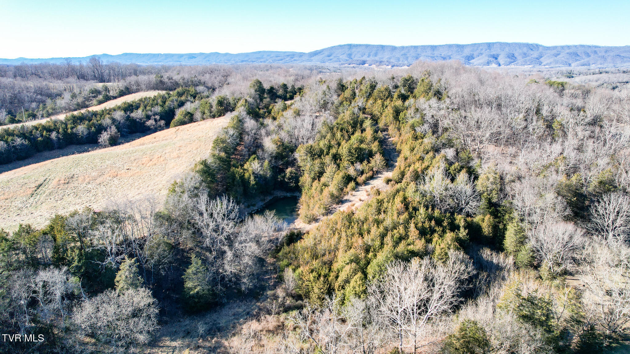 820 Doak Hensley Road Afton, TN 37616 - Photo 12 of 44 DJI_0058