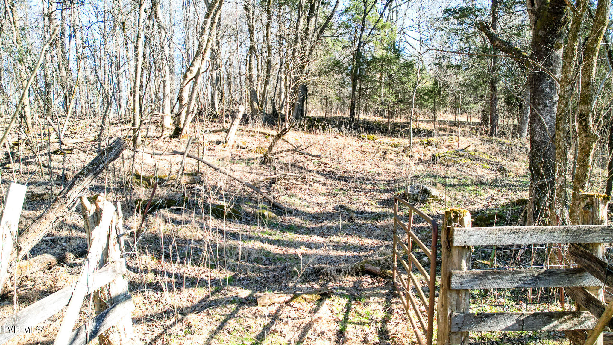 820 Doak Hensley Road Afton, TN 37616 - Photo 19 of 44 DJI_0045