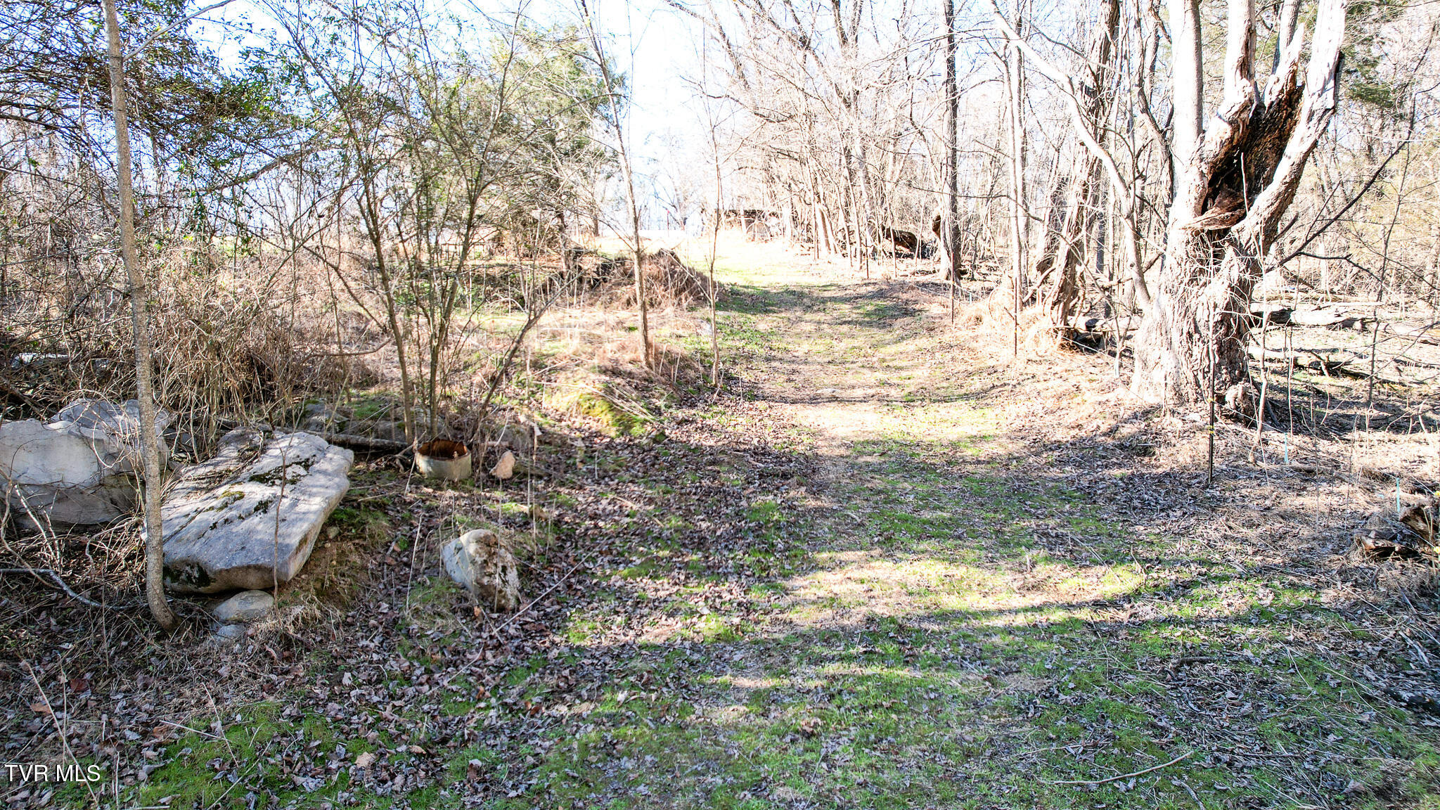 820 Doak Hensley Road Afton, TN 37616 - Photo 20 of 44 DJI_0044