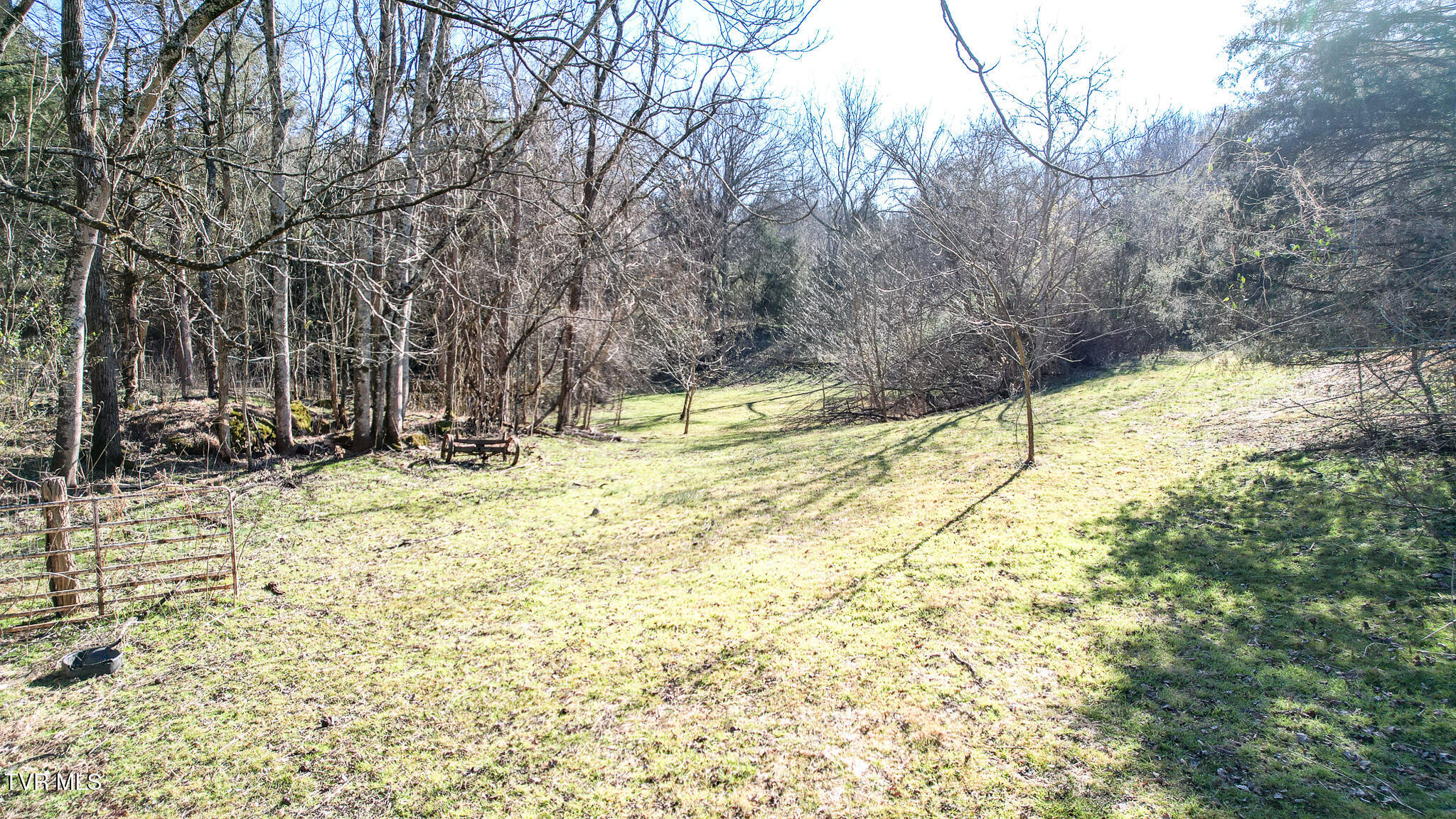 820 Doak Hensley Road Afton, TN 37616 - Photo 21 of 44 DJI_0043