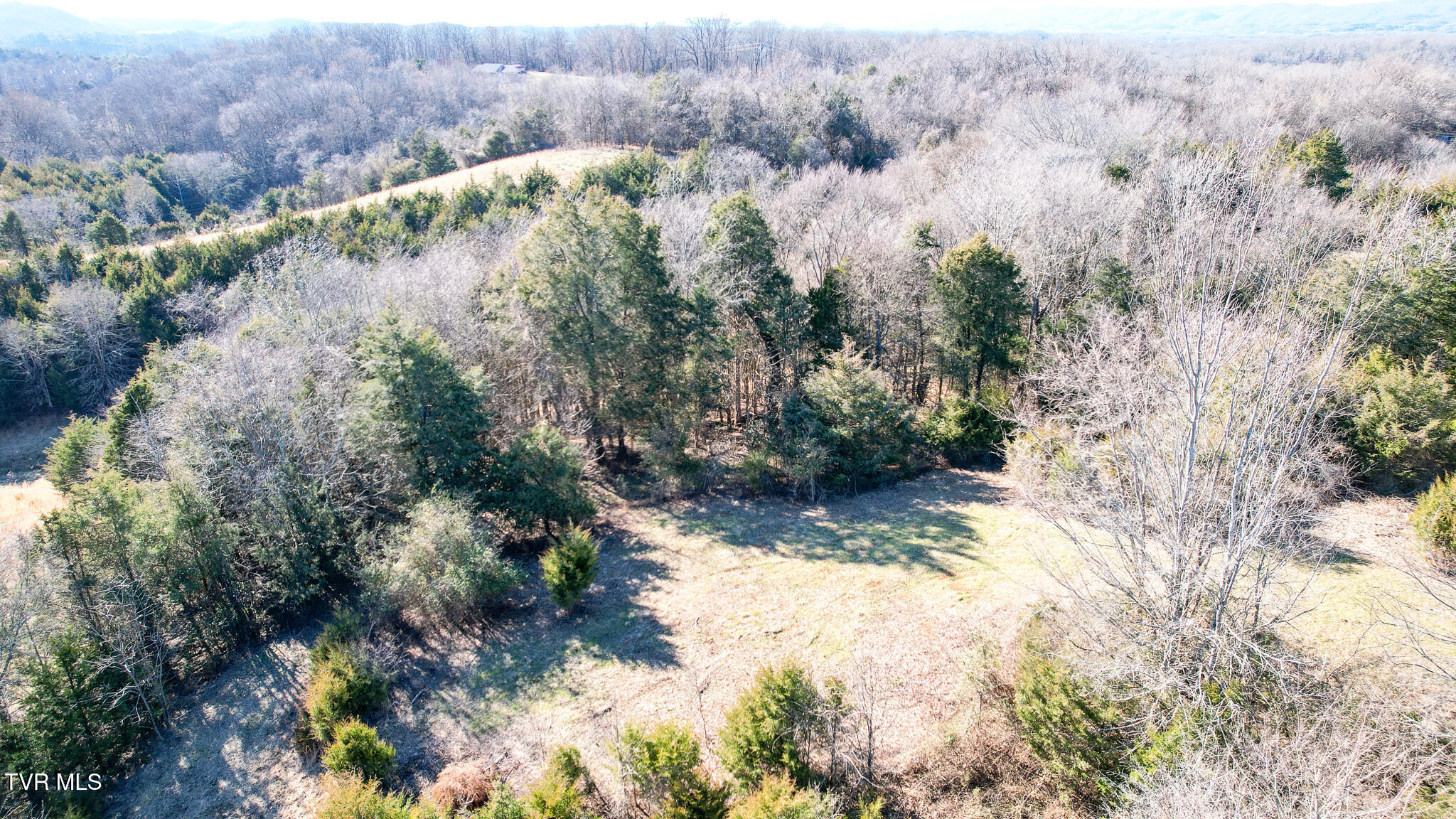 820 Doak Hensley Road Afton, TN 37616 - Photo 8 of 44 DJI_0069