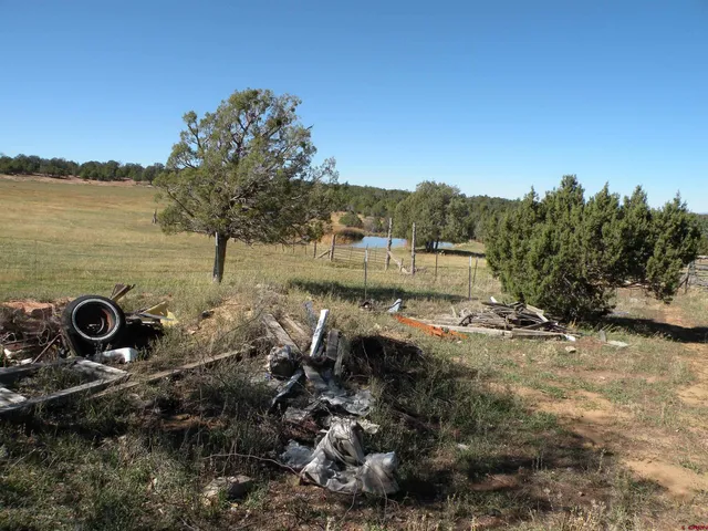 a view of a terrace with chairs