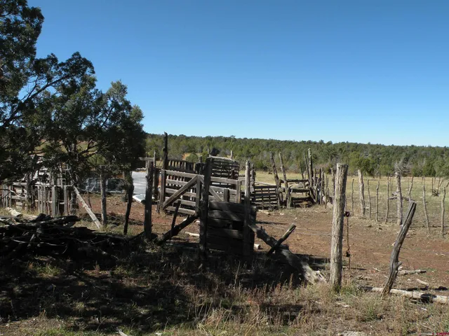 a view of a yard with trees in front of it