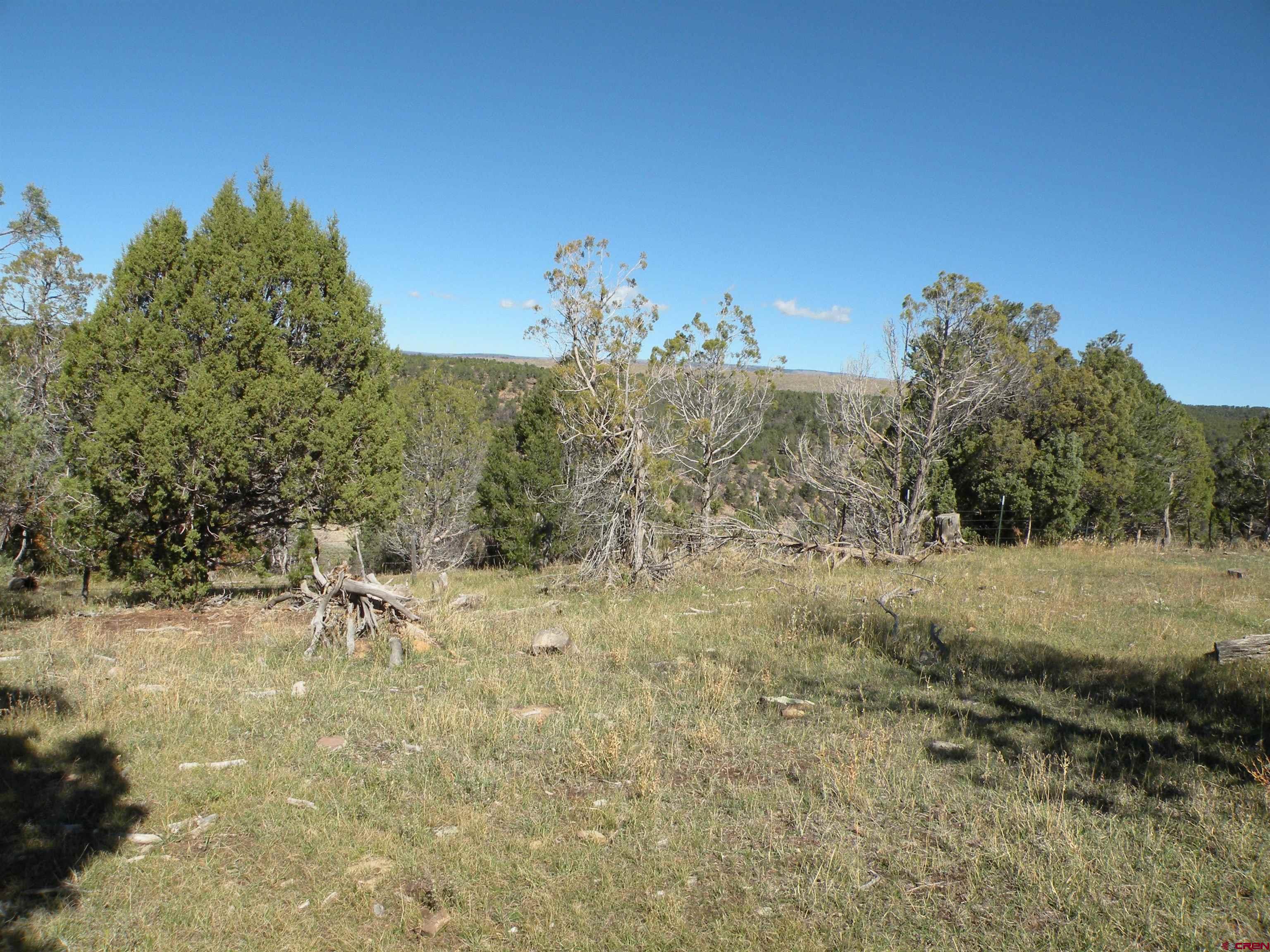 35001 4000 Road Redvale, CO 81431 - Photo 15 of 31 a view of a yard with trees in front of it