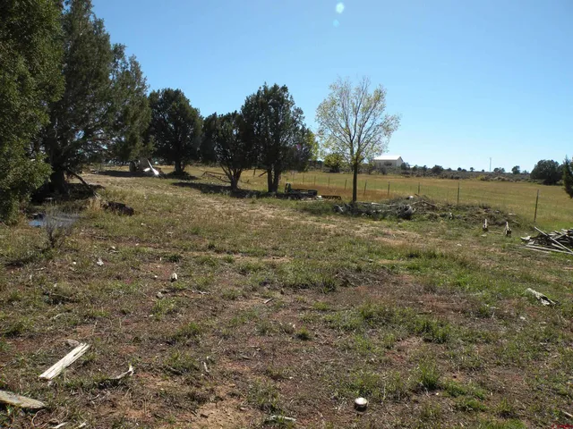 a view of a yard with trees
