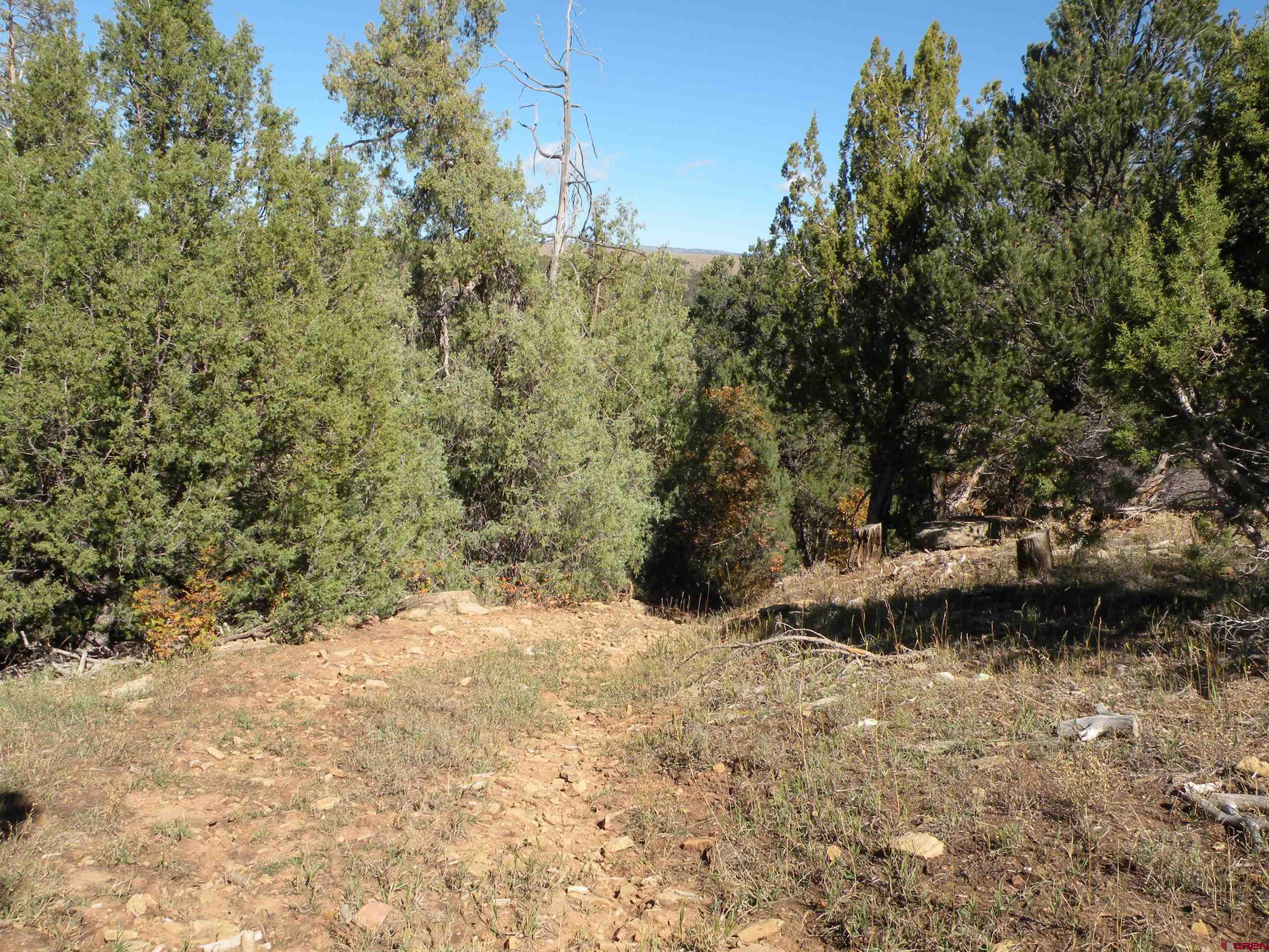 35001 4000 Road Redvale, CO 81431 - Photo 19 of 31 a view of a yard with trees