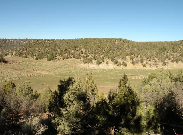 a view of a dry field