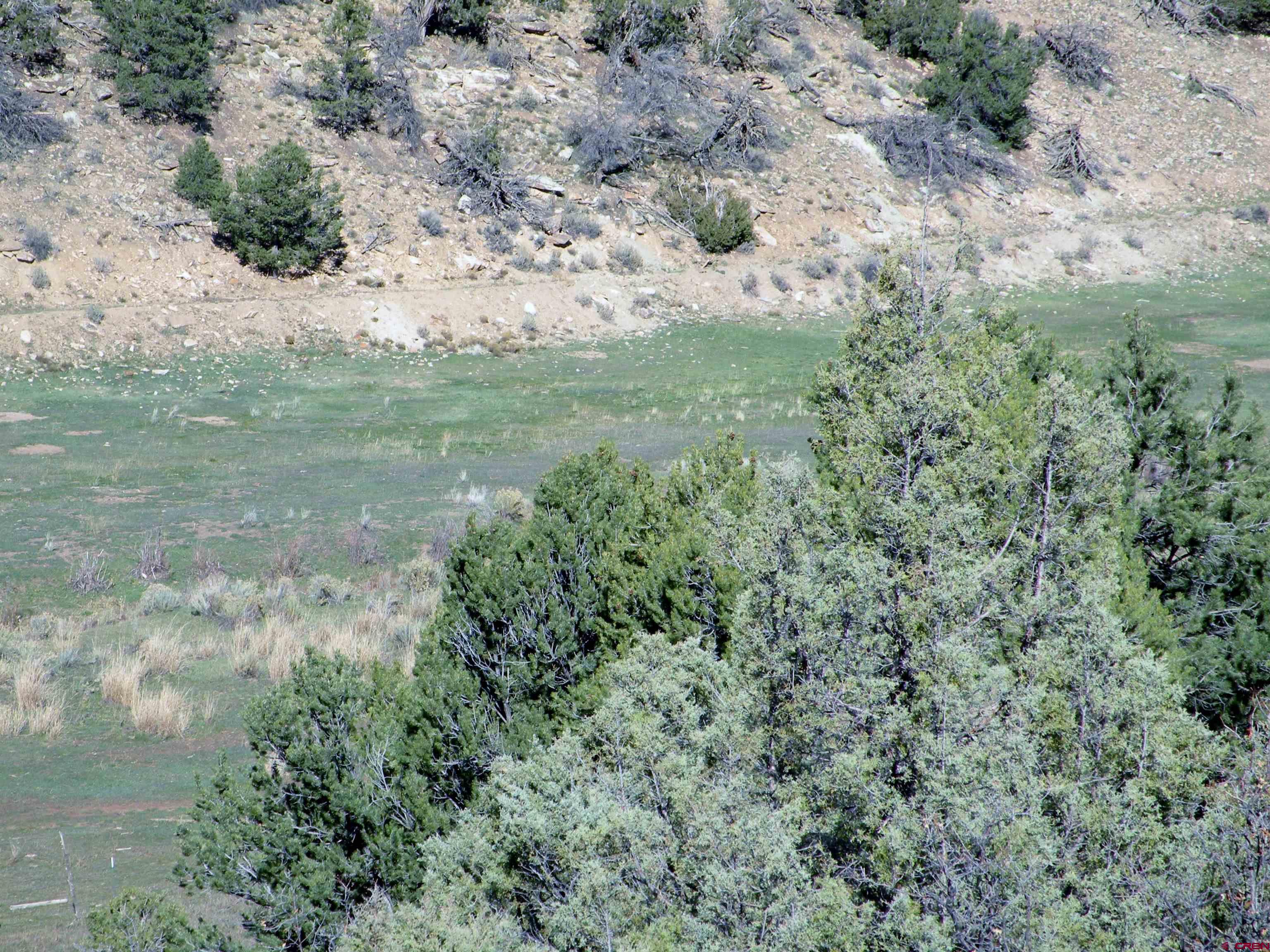 35001 4000 Road Redvale, CO 81431 - Photo 27 of 31 a view of a yard