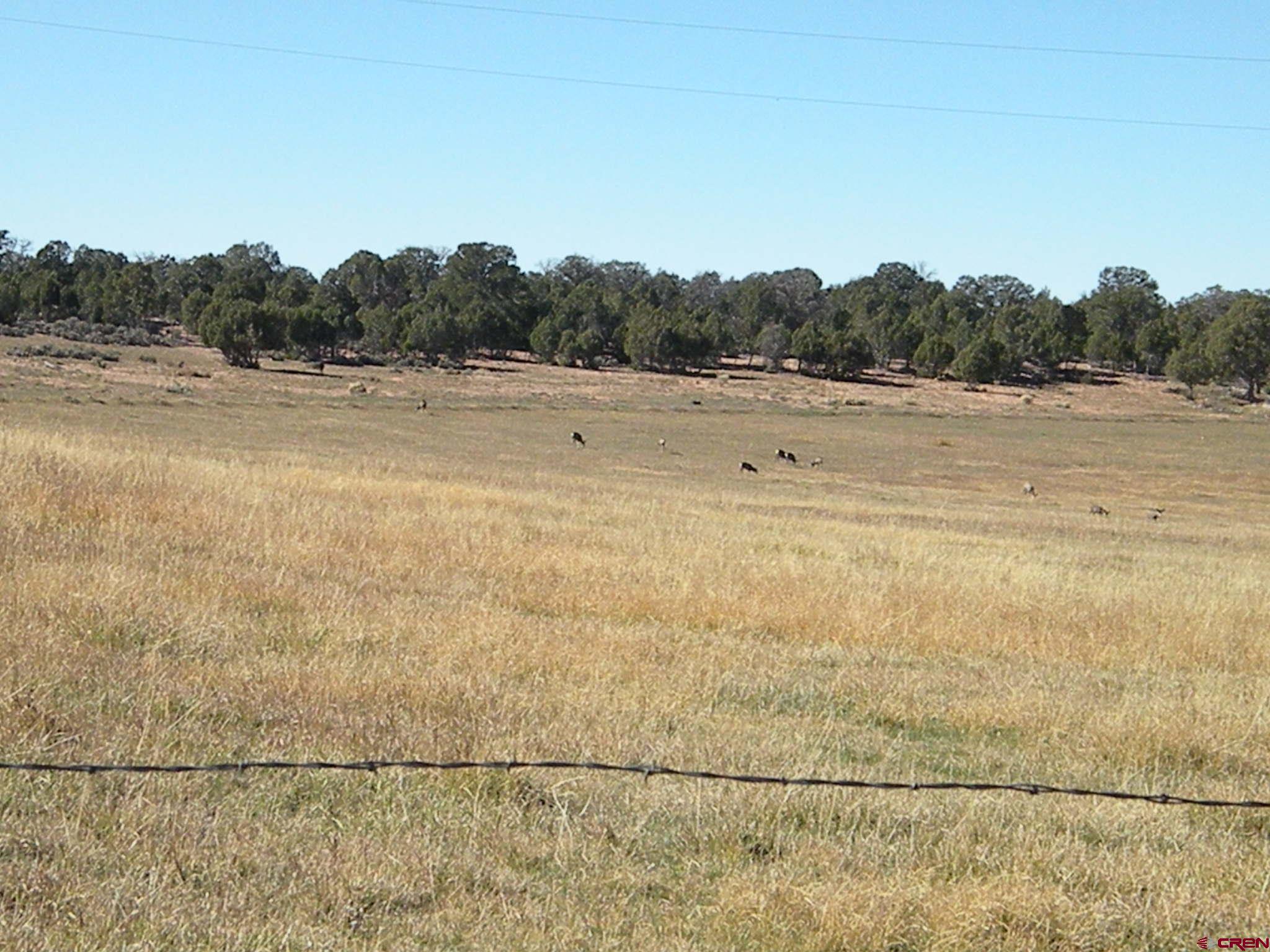 35001 4000 Road Redvale, CO 81431 - Photo 28 of 31 a view of a field with trees in the background