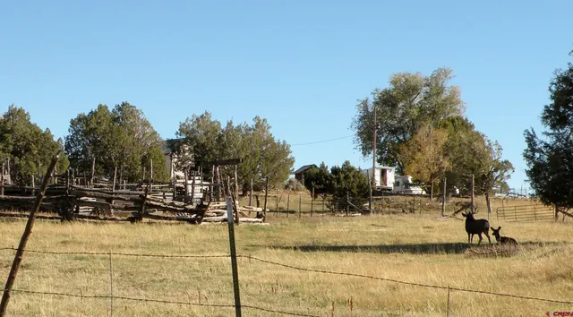 $500,000 | 35001 4000 Road, Redvale, CO 81431