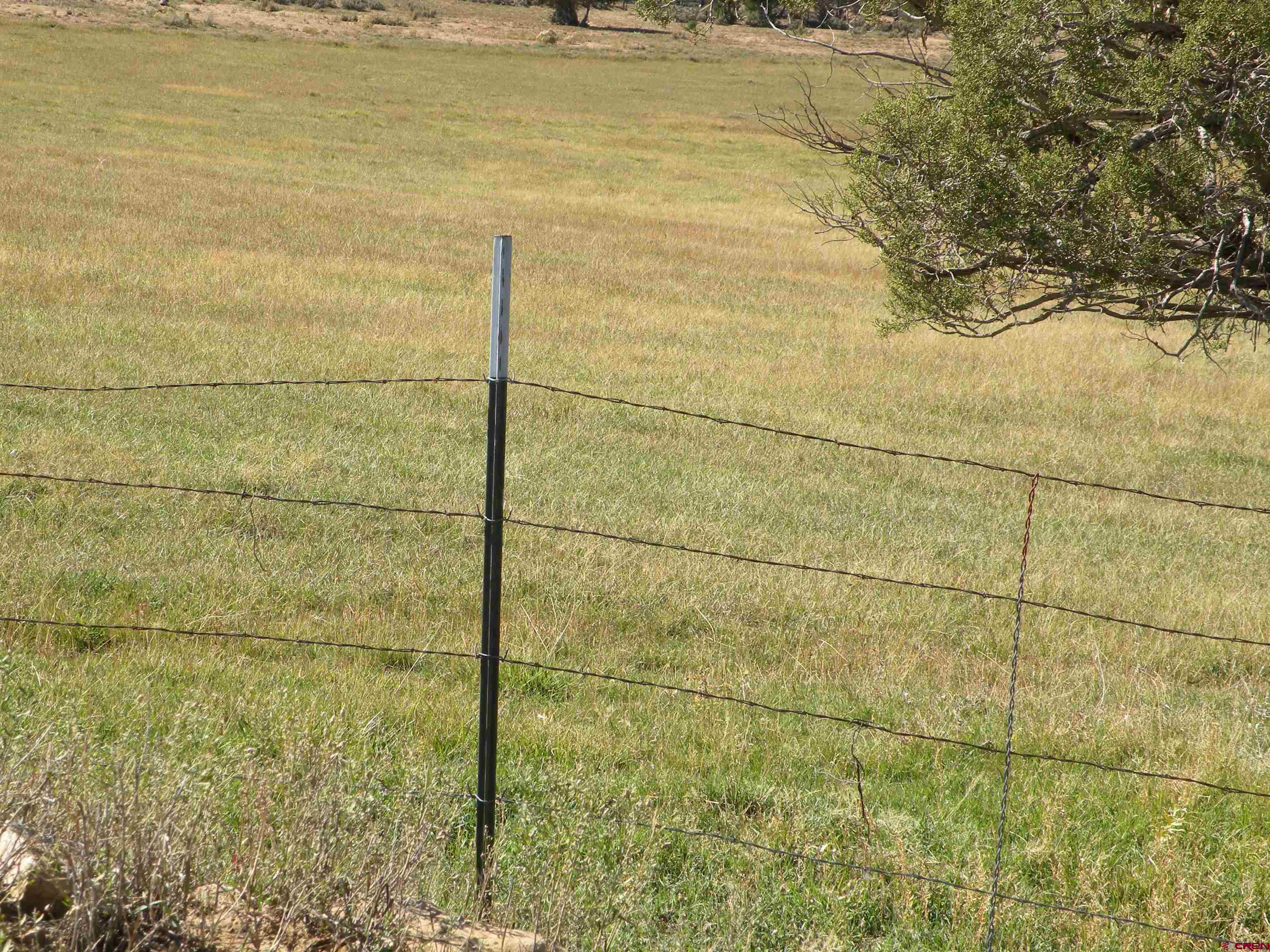 35001 4000 Road Redvale, CO 81431 - Photo 4 of 31